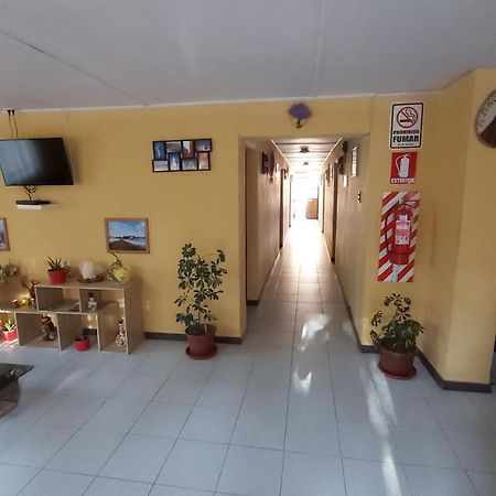 Hostal Km Zero - El Senor Del Lascar San Pedro de Atacama Bagian luar foto